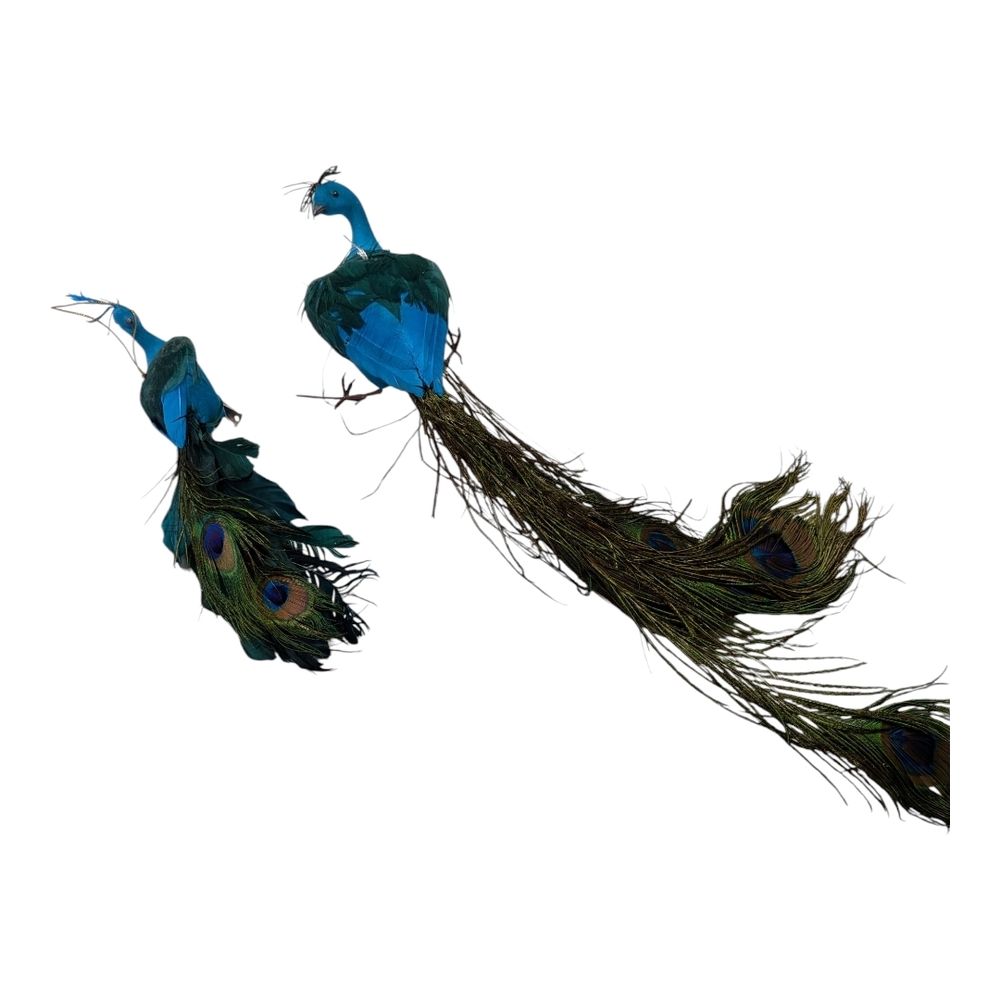 Vintage  Adorable Peacocks With Lovely Feather Tails - Good Condition